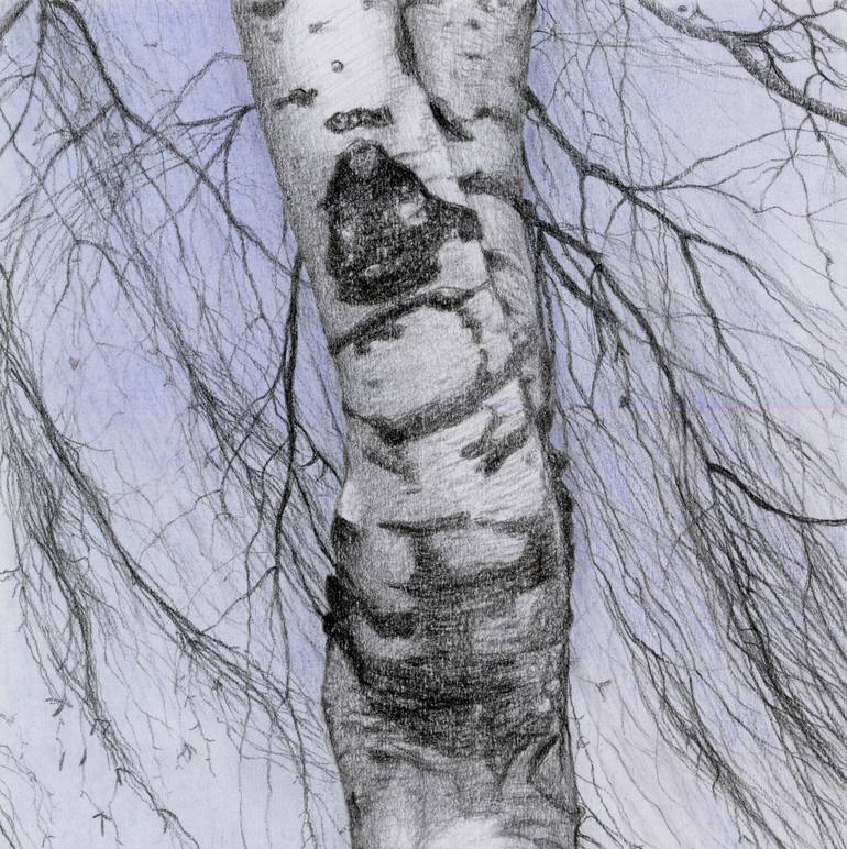 Original Realism Nature Drawing by Nives Palmic