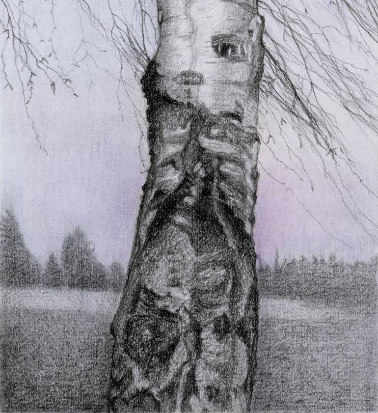 Original Realism Nature Drawing by Nives Palmic