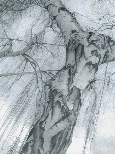 Print of Expressionism Nature Drawings by Nives Palmic