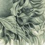 This drawing is a part of a series in which I explore nature rhythms and a beauty of organic shapes. 
It is a fine detailed graphite drawing of a sunflower I drew after a live flower.