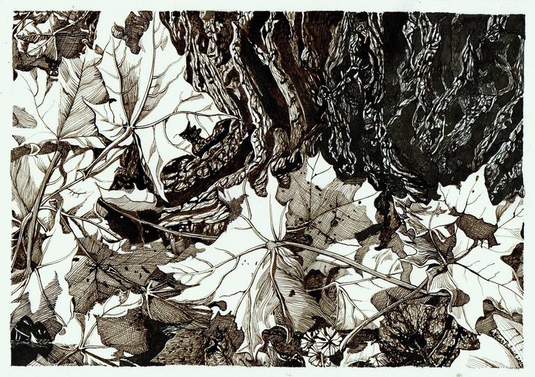 Original Nature Drawing by Nives Palmic