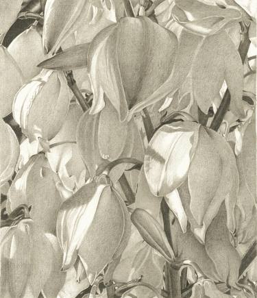 Print of Conceptual Floral Drawings by Nives Palmic