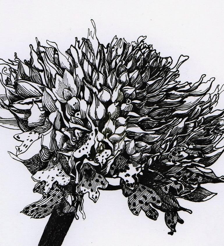 Original Floral Drawing by Nives Palmic