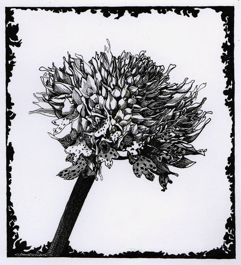 Original Floral Drawing by Nives Palmic