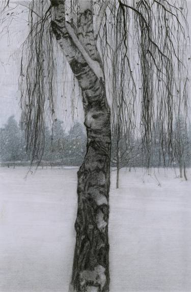 Print of Tree Drawings by Nives Palmic