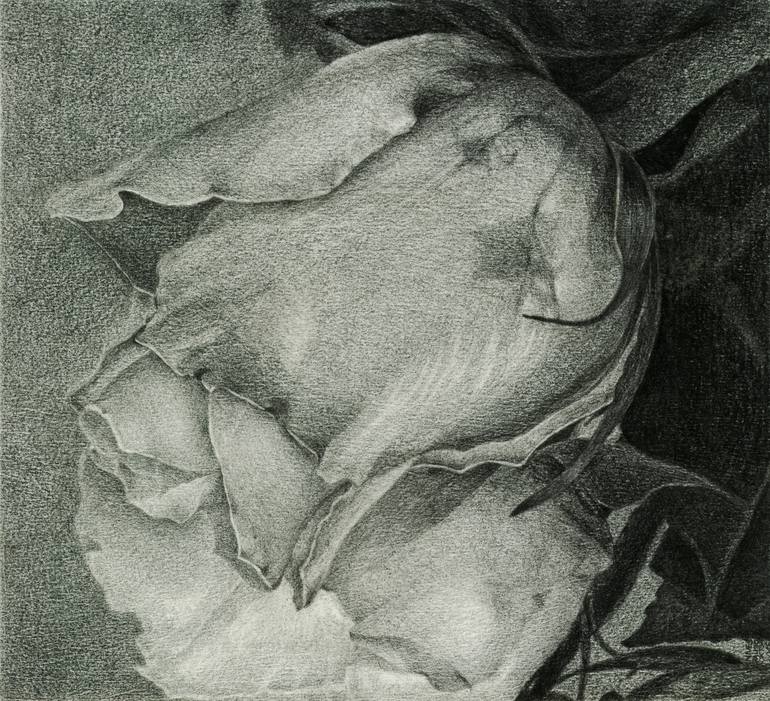Original Conceptual Floral Drawing by Nives Palmic