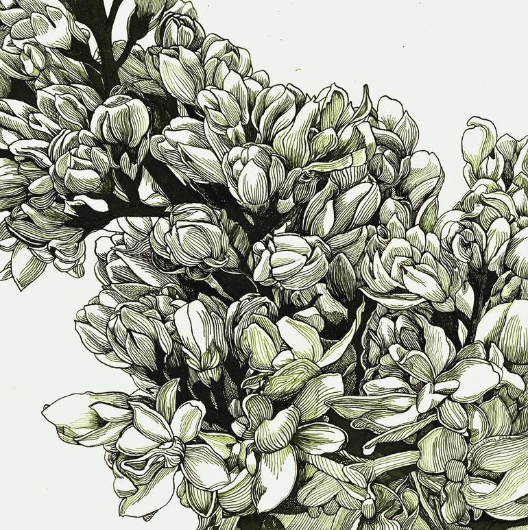 Original Floral Drawing by Nives Palmic