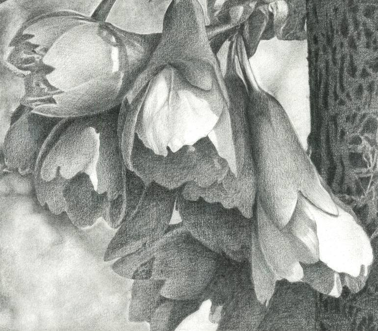 Original Conceptual Floral Drawing by Nives Palmic