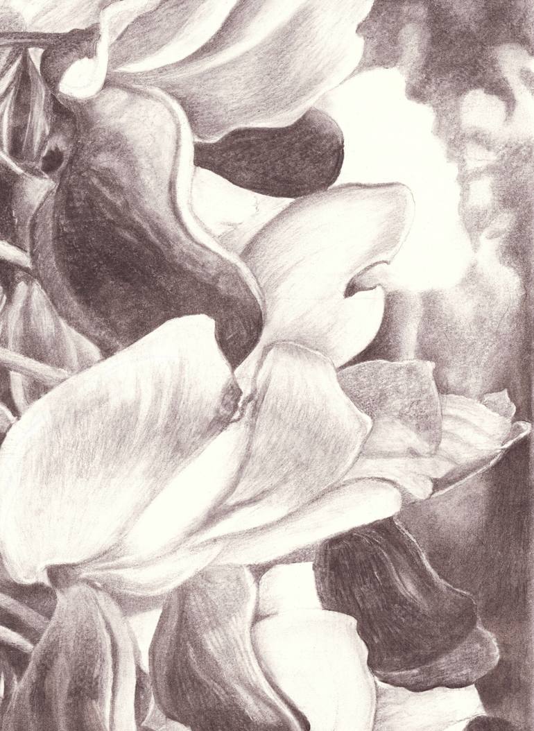 Original Conceptual Floral Drawing by Nives Palmic