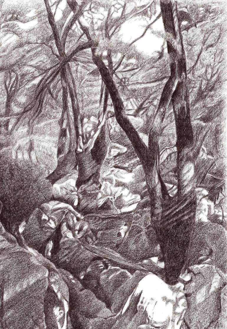 Original Landscape Drawing by Nives Palmic