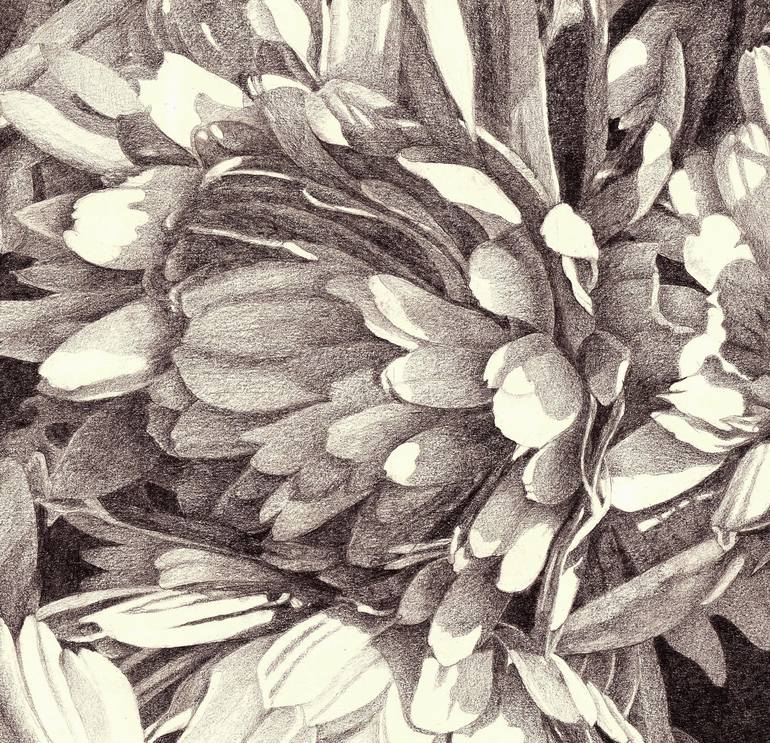 Original Floral Drawing by Nives Palmic