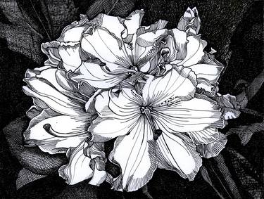 Original Conceptual Floral Drawings by Nives Palmic