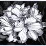 Black ink drawing of a Rhododendron flower. From the series Pen and ink drawings.
Small size, delicate and cute.
I use metal pen an draw with ink without any preliminary sketching. It is spontaneous, but in the same time you have to be very focused not to make a mistake, because it can not be correct.

See similar works: Viburnum Tinus Flower, Mountain Laurel Flower.