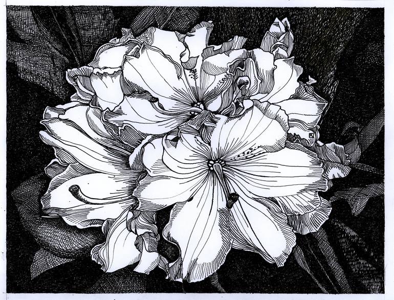 Original Floral Drawing by Nives Palmic