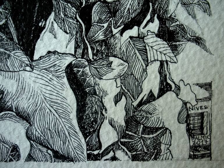 Original Nature Drawing by Nives Palmic