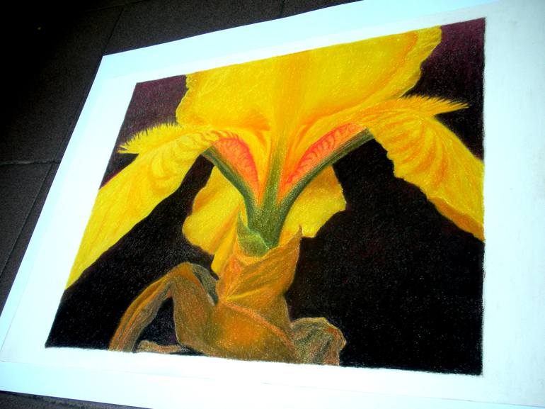 Original Floral Drawing by Nives Palmic