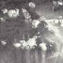 This drawing is pure expression of dynamical movement and dramatical lightness of sunset. That's why I call it Drama in Black and White. Visually attractive with the touch of classic. Drawing is a combination of graphite and charcoal pencil, created after my photo.
