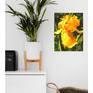 Watercolor painting of yellow iris, after my own photo from beautiful garden. Painted directly without sketching, it gives painting feeling of freshness and spontaneity.
Color of flower vary from bright yellow to gentle warm apricot.