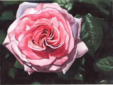 Print of Floral Paintings by Nives Palmic