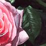 Splendid, gorgeous watercolor painting of a rose, created after my photo.