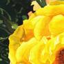 Splendid, gorgeous watercolor painting of a yellow rose, created after my photo from beautiful Botanical garden in Ljubljana.