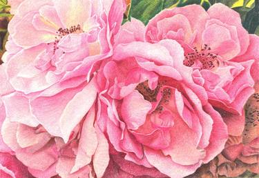 Print of Fine Art Floral Drawings by Nives Palmic