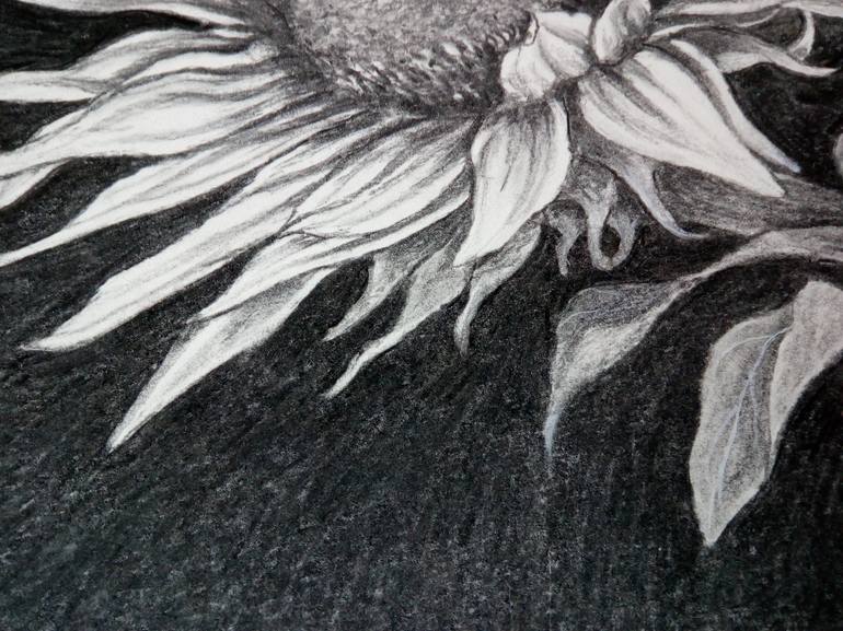 Original Fine Art Nature Drawing by Nives Palmic