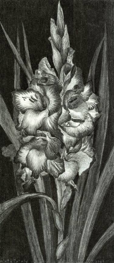 Print of Realism Nature Drawings by Nives Palmic