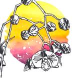 Original Watercolour Art | Hollow Me Out Original Painting by Criss Chaney