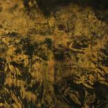 Forrest series, II by Magdalena Wilk