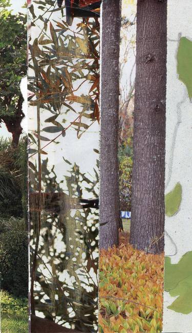 Original Modern Nature Collage by Dara Kane