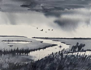 Monochrome - Raining over Marshes, geese thumb