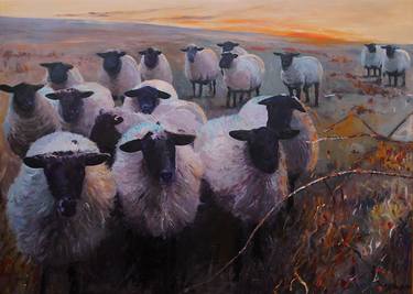 Flock of Sheep, Sunset thumb