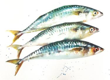 Print of Figurative Fish Paintings by Teresa Tanner