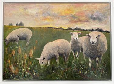 Flock of Sheep Evening thumb