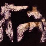 Collection Formalism