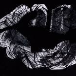 Collection Formalism