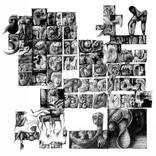 stories by Razvan Luscov