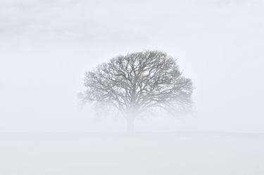 Devon Fog VII - Limited Edition 1 of 50 thumb