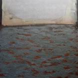 Collection Landscapes