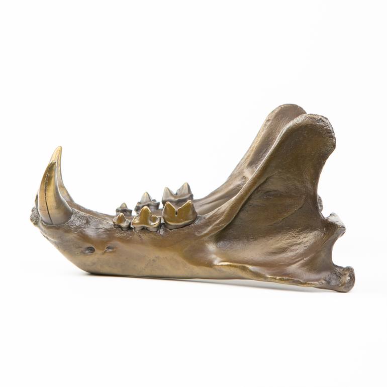Original Figurative Animal Sculpture by Simon Fearnhamm