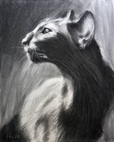 Print of Expressionism Animal Drawings by Vasyl Kovach