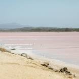 Pink Waters by Sara Wight