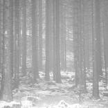 Collection Photography - The Other Art Fair Brooklyn July