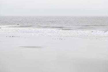 Surfer with Birds, Sullivan's Island, South Carolina thumb