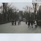 Central Park by Gail Acosta