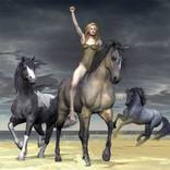 STORM by Fred Juergen Rogner