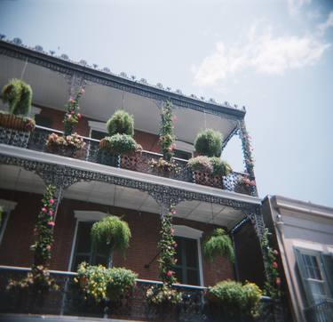 NOLA facades and ferns thumb