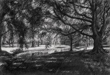 Print of Impressionism Landscape Drawings by Corné Akkers