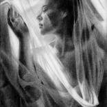 Sheer Beauty - 28-11-25 by Corné Akkers